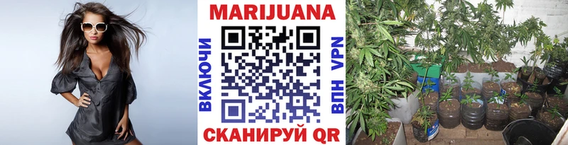 Канабис VHQ  дарк нет официальный сайт  Тейково 
